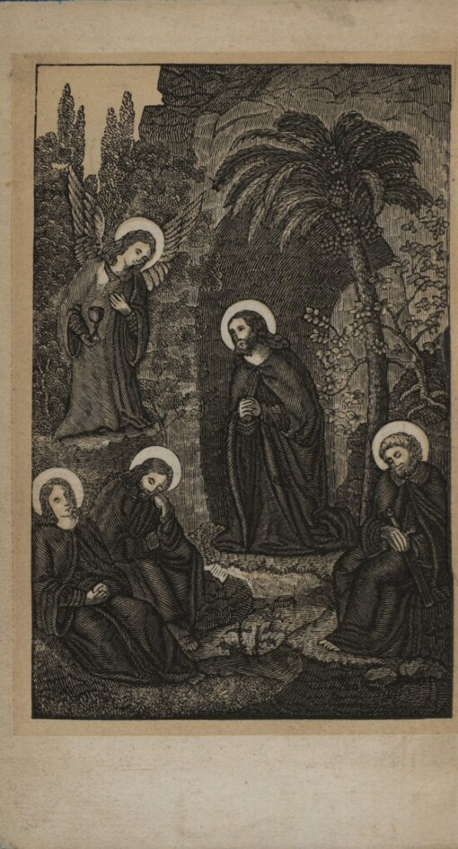 Ježíš naše spasení!: modlitební kniha křesťansko-katolická pro oboje pohlaví