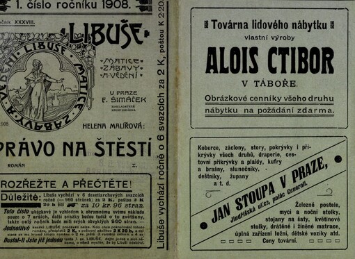 Právo na štěstí :román