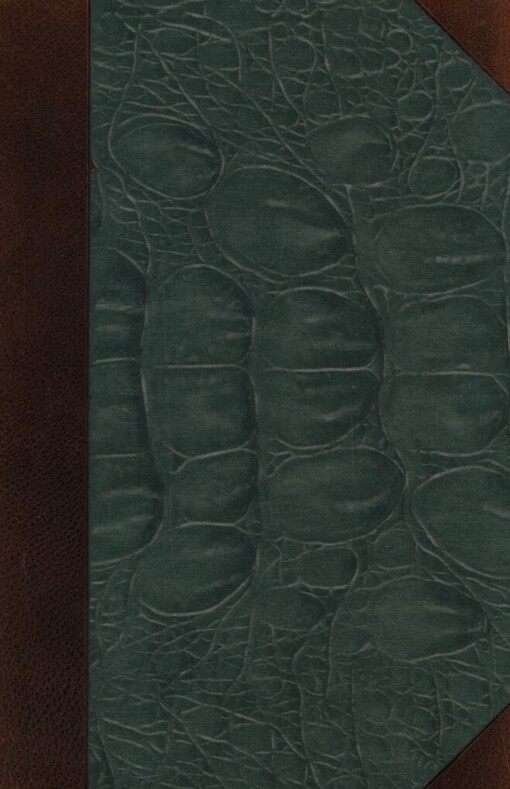 Pan Tadeáš, čili, Poslední zájezd na Litvě