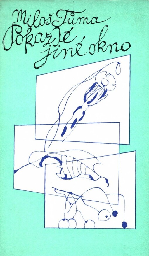 Pokaždé jiné okno : [sbírka básní]