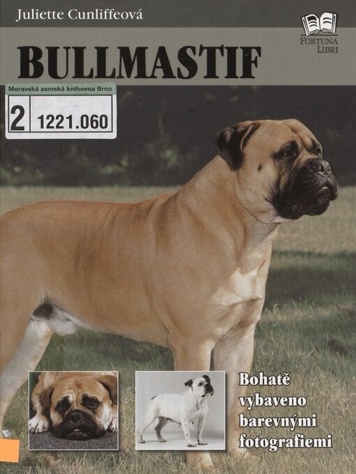 Bullmastif