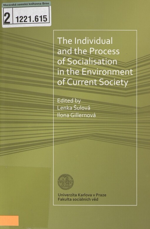 individual and the process of socialisation in the environment of current society