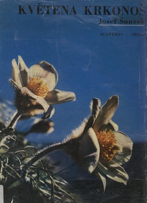 Květena Krkonoš :český a polský Krkonošský národní park