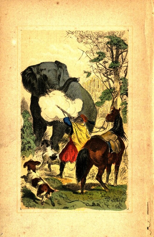 Lovecké obrázky z cizích krajin