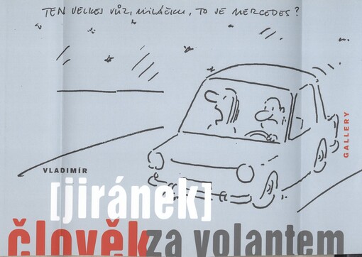 Člověk za volantem