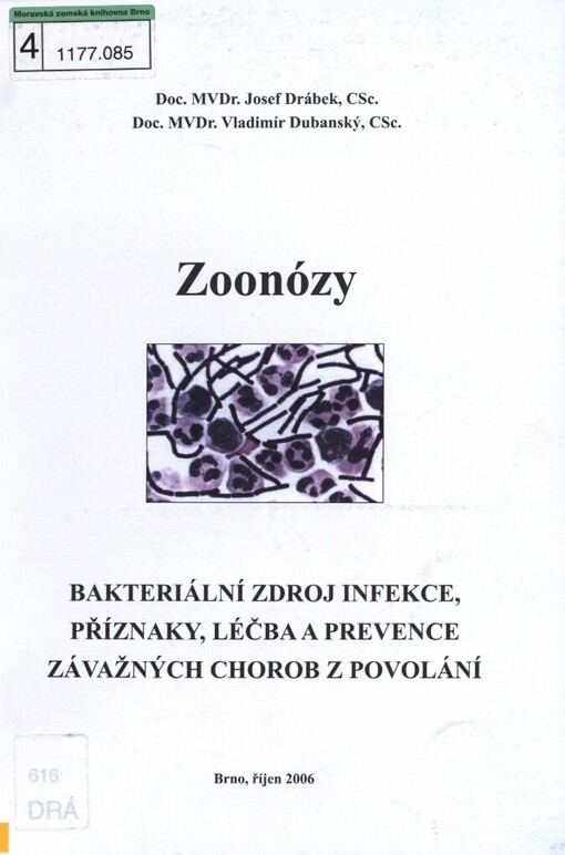 Zoonózy: bakteriální zdroj infekce, příznaky, léčba a prevence závažných chorob z povolání