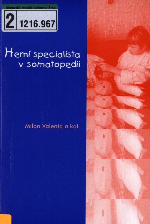 Herní specialista v somatopedii