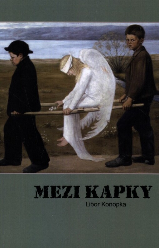 Mezi kapky
