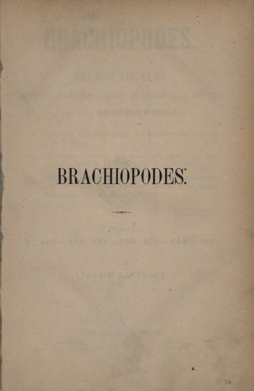 Brachiopodes :etudes locales