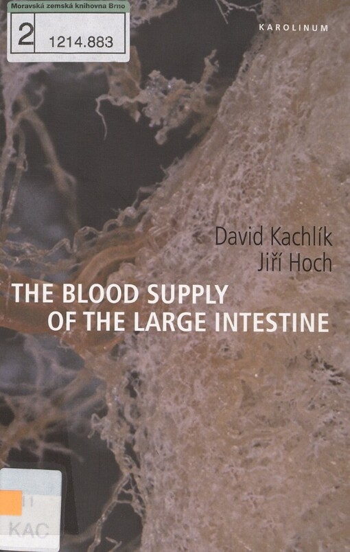 blood supply of the large intestine