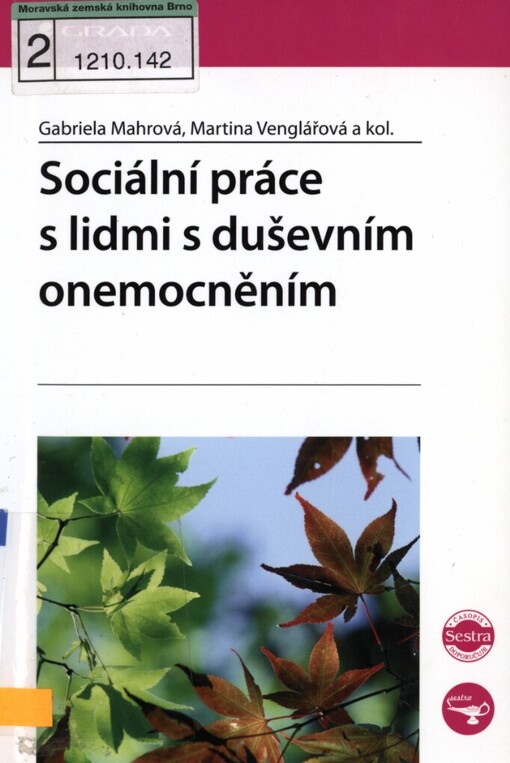 Sociální práce s lidmi s duševním onemocněním