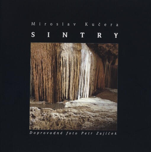 Sintry