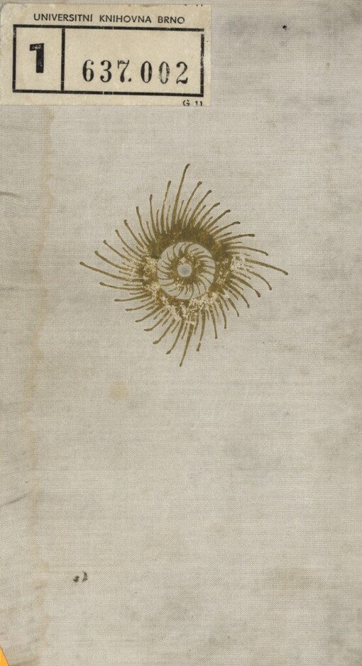 Červotočivé světlo