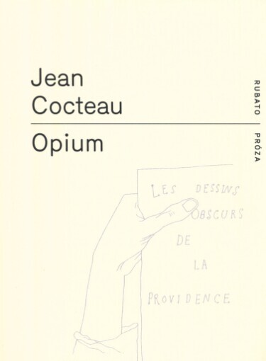 Opium: [deník jedné detoxikace]