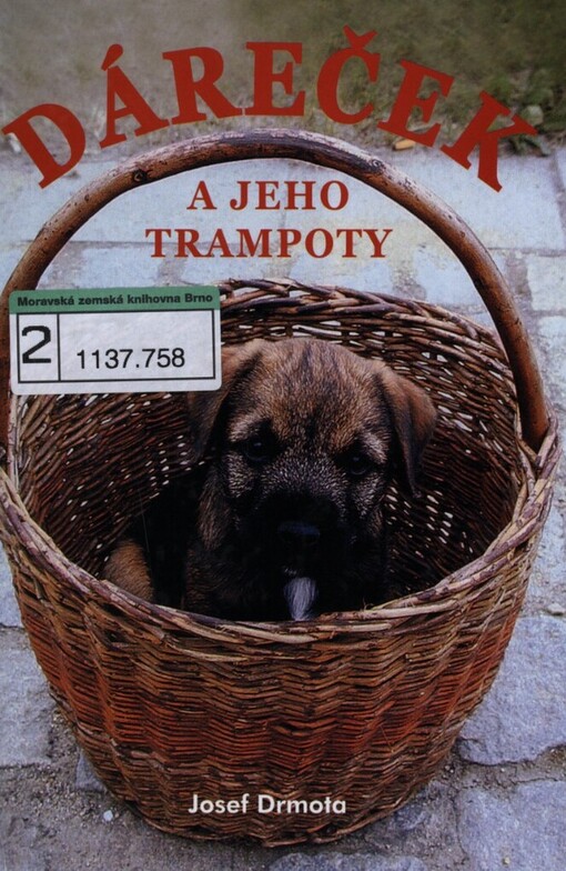 Dáreček a jeho trampoty