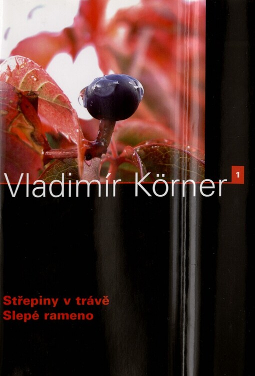 Slepé rameno: Střepiny v trávě