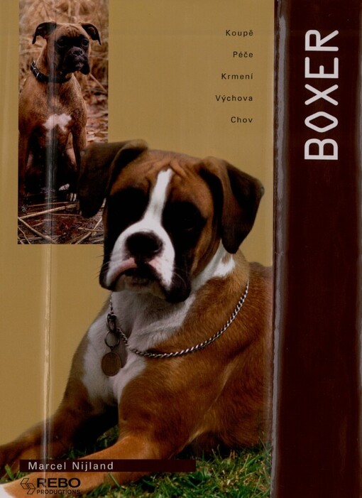 Boxer