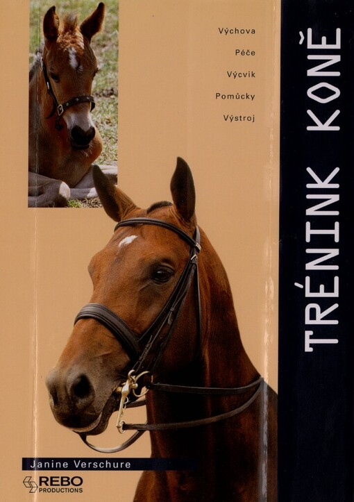 Trénink koně