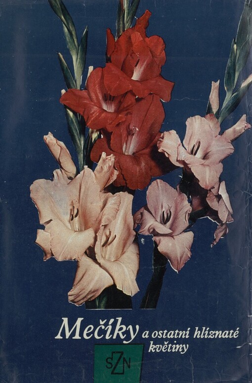 Mečíky a ostatní hlíznaté květiny