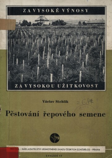 Pěstování řepového semene