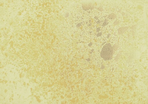 Antonín Procházka [... studie...]