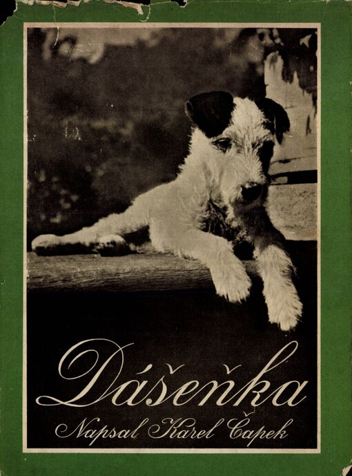 Dášeňka, čili, Život štěněte