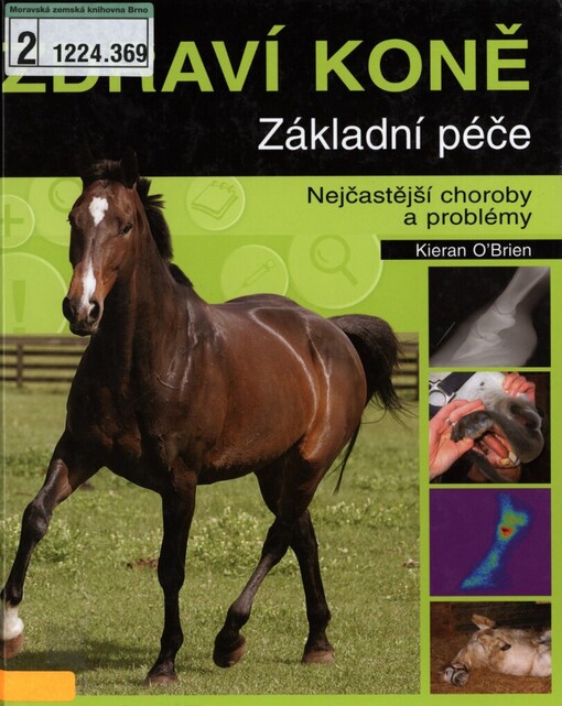 Zdraví koně: základní péče : nejčastější choroby a problémy