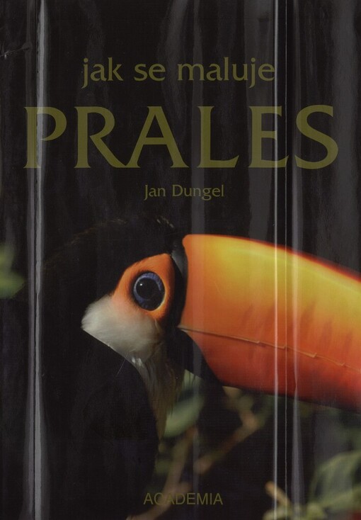 Jak se maluje prales