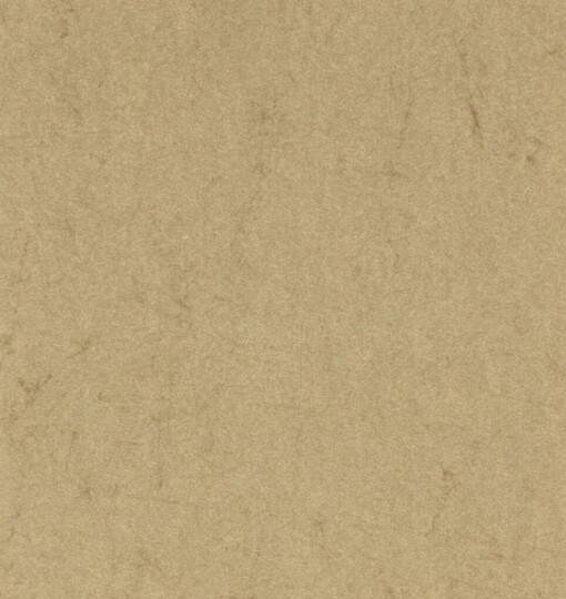 Adolf Loos a česká architektura