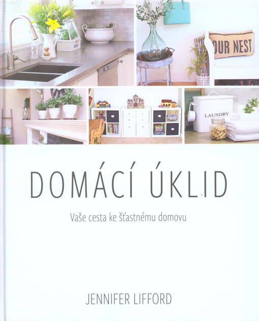 Domácí úklid