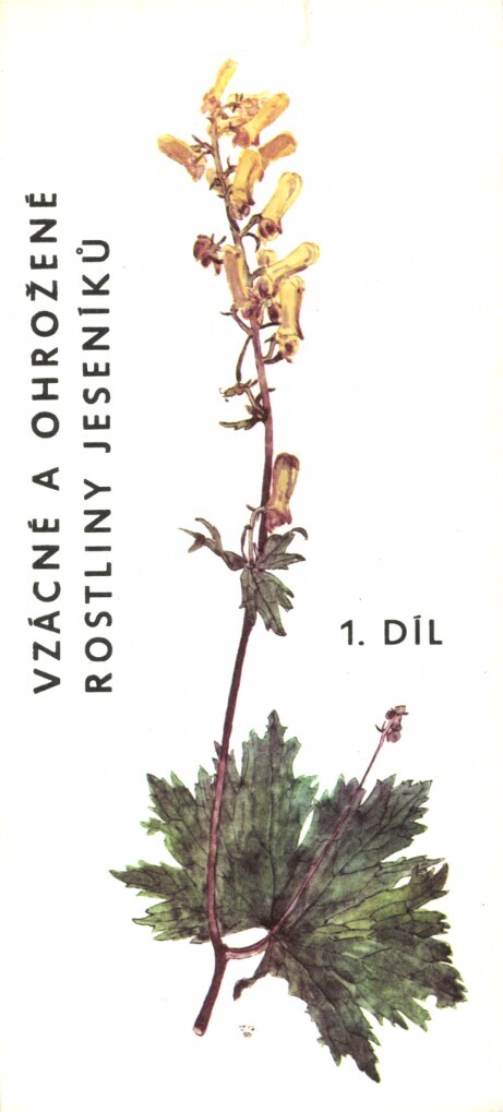 Vzácné a ohrožené rostliny Jeseníků.Díl 1.