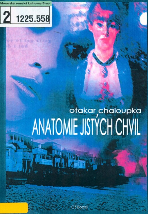 Anatomie jistých chvil