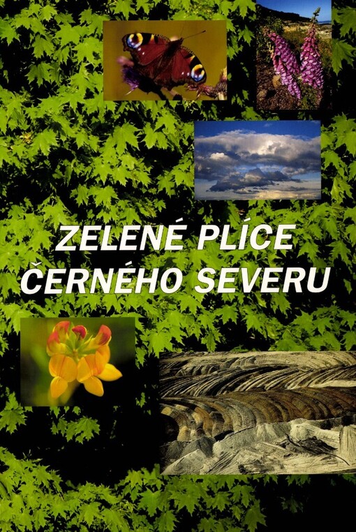 Zelené plíce černého severu