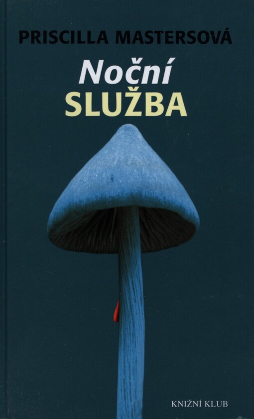 Noční služba