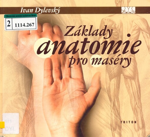 Základy anatomie pro maséry