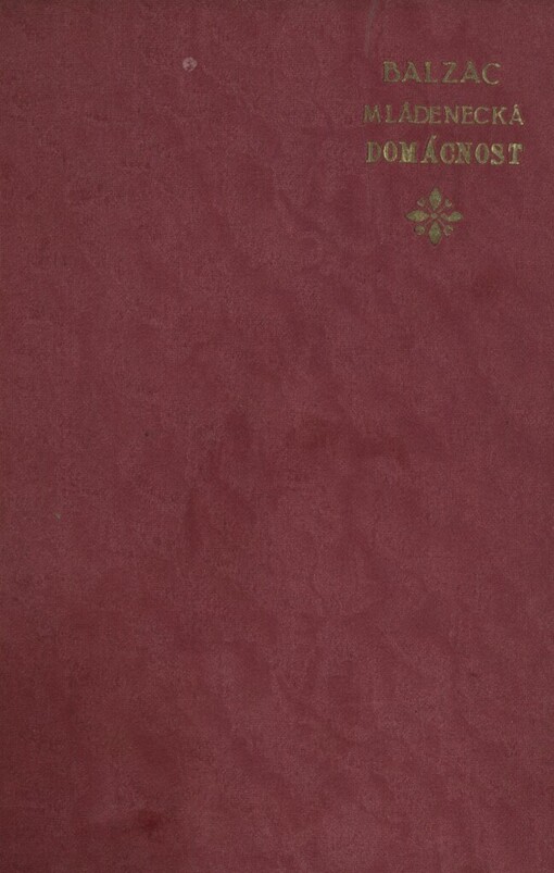 Mládenecká domácnost