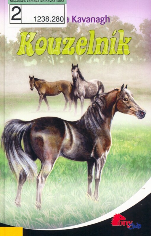 Kouzelník