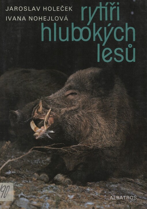 Rytíři hlubokých lesů