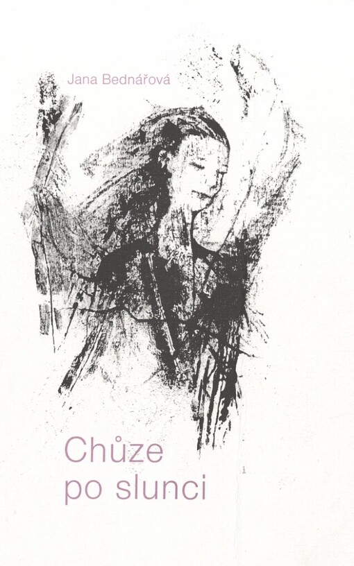 Chůze po slunci: (poéma)