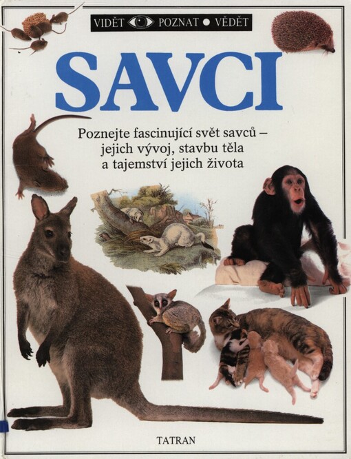 Savci