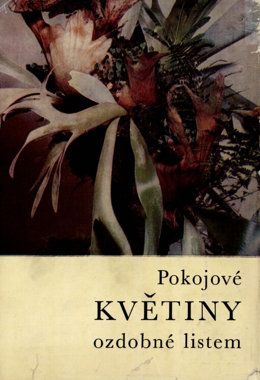 Pokojové květiny ozdobné listem