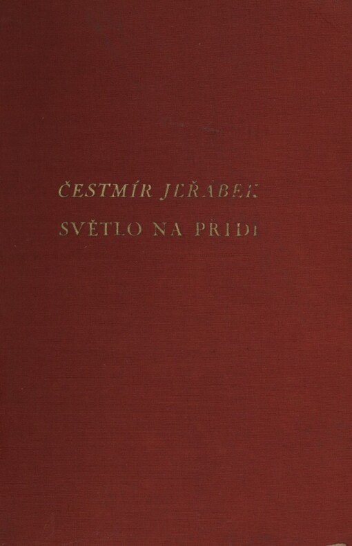 Světlo na přídi :(Petr a Jindřich) : román