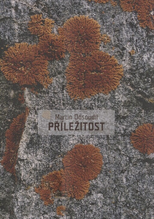 Příležitost