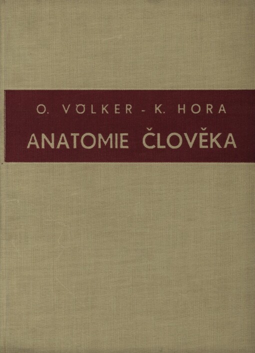 Anatomie člověka