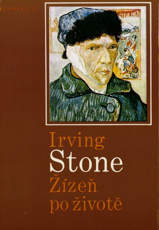 Žízeň po životě : román o Vincentu van Goghovi