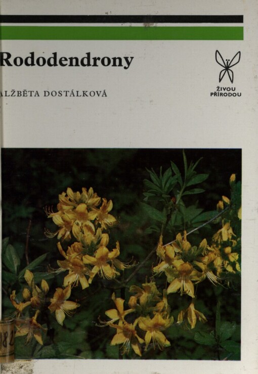 Rododendrony
