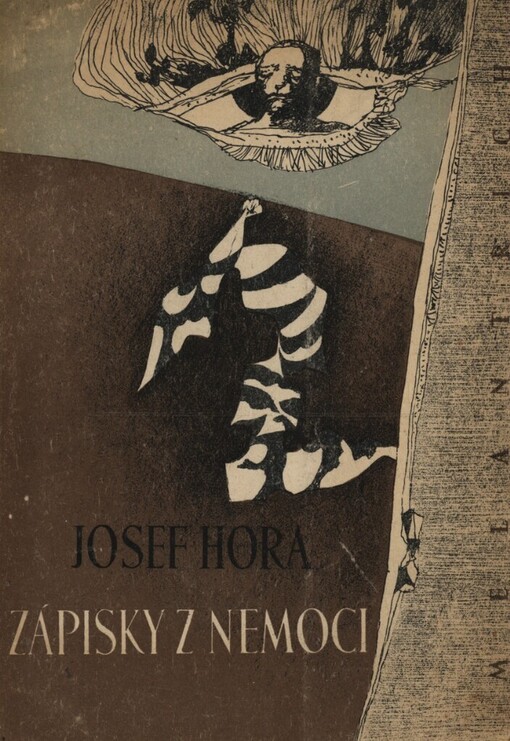 Zápisky z nemoci