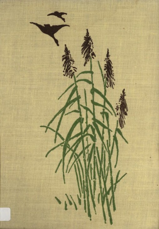 Obrázky z přírody