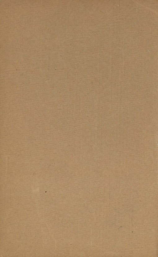 Anděl západního okna :román