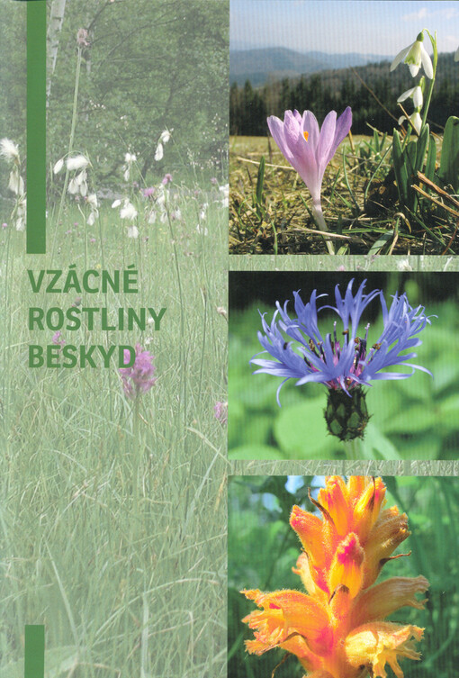 Vzácné rostliny Beskyd